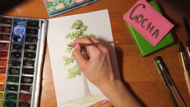 Рисуем сосну акварелью.Рисуем деревья. смотреть онлайн