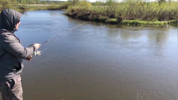 Разловить Zetrix Solver ч.2