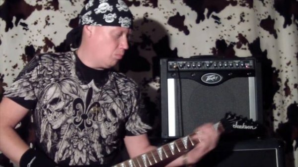 Обзор гитарных усилителей с Dimario Peavey envoy 110