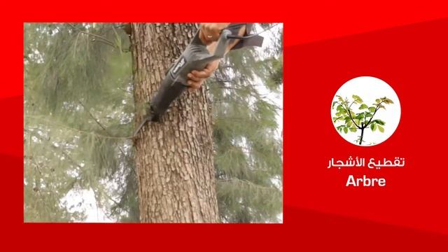 مراجعة فيديو عن Scie Sabre Crown 710 Wat