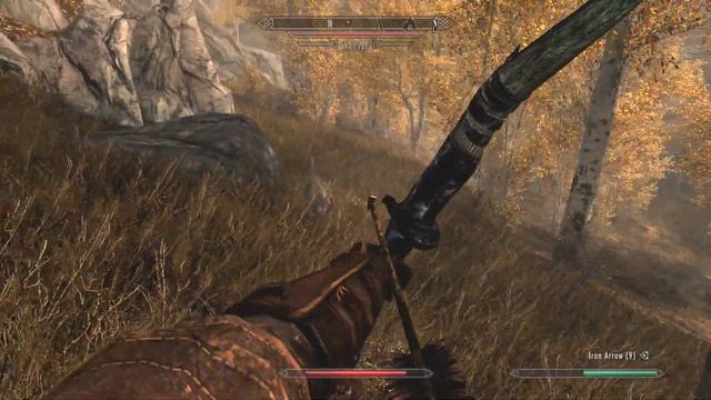 Let's Play Skyrim Special Edition (100% Completion) | Zillashots | - Episode 13 - Fool and Horse смотреть онлайн