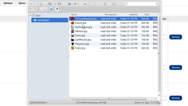 OpenCart Enhanced Image and File Manager Overview смотреть онлайн