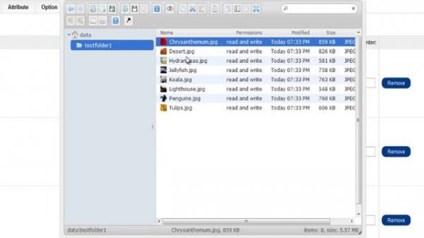 OpenCart Enhanced Image and File Manager Overview
