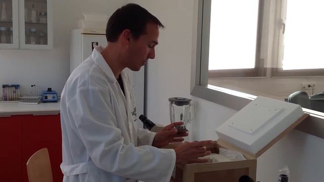 Tuber magnatum para inoculo de planta micorrizada con trufa blanca italiana смотреть онлайн