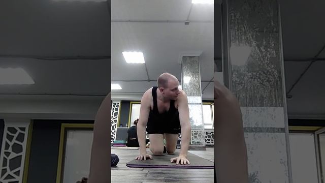 Пресс. Комплекс упражнений на пресс. Мышцы кора. Фитнес. Мышцы пресса. Планка. Растяжка. смотреть онлайн