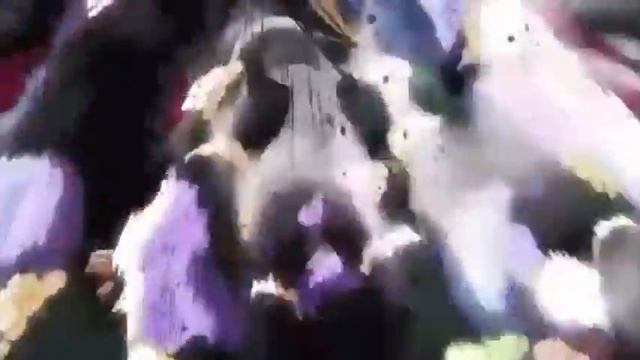 Star Platinum ORA ORA ORA ORA ORA ORA ORA Earrape 1 Hour смотреть онлайн