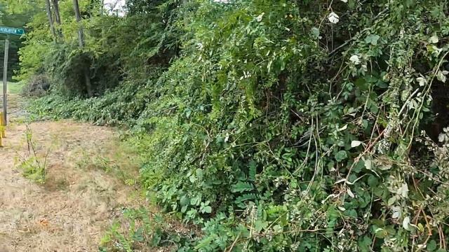 Смотрим Участок 5 Акров с Рекой Посередине 2020 смотреть онлайн