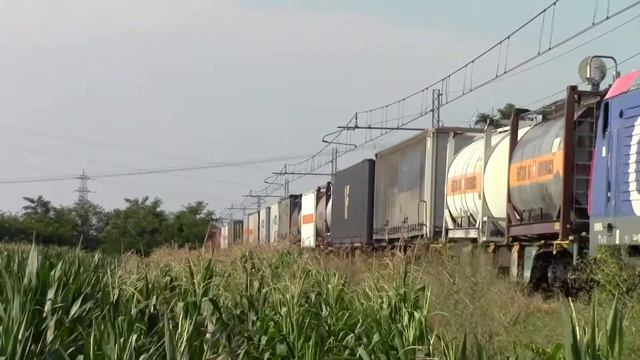 Test Canon Legria HF R37 смотреть онлайн