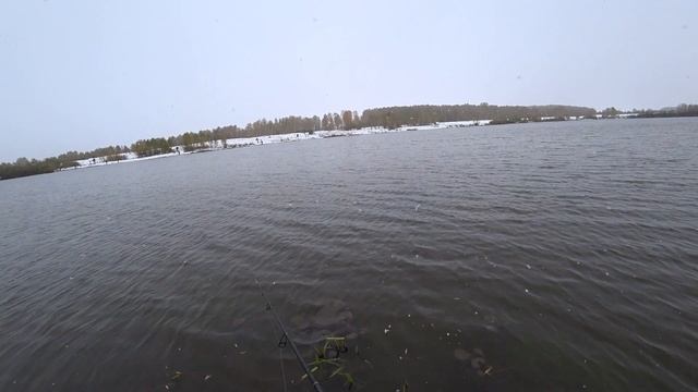 Кузбасский Клев 2021. Полные отморозки смотреть онлайн