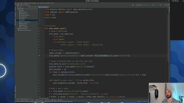 Easily deploy your machine learning XGBoost model using FastAPI and Streamlit. смотреть онлайн