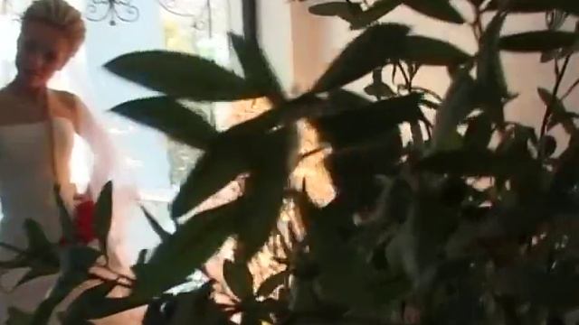 свадьба Воронеж фото видео фотограф видеосъемка загс смотреть онлайн