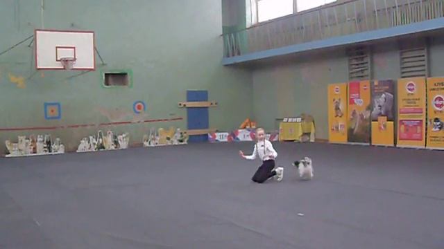 Элементы Изместьева Софья и Олтимар Танго смотреть онлайн