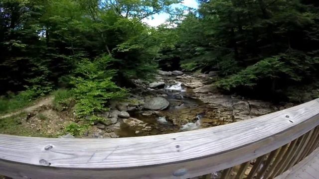 Mount Moosalamoo | Hiking 3.6 Miles with a Jack Russell Terrier смотреть онлайн