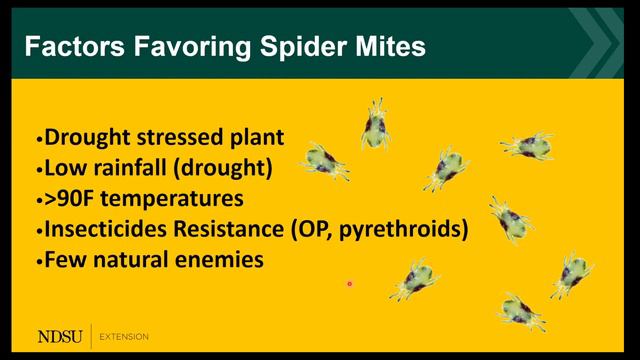 2022 Getting It Right Soybean Production: Insect management with Janet Knodel смотреть онлайн