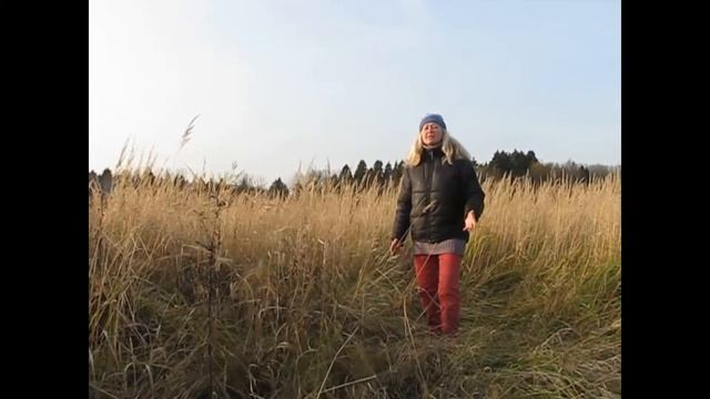 Иван Бунин Стихи смотреть онлайн