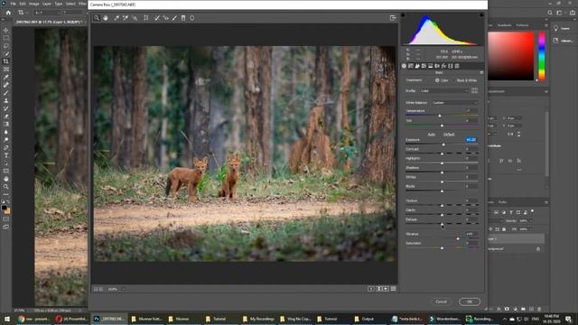 How i edit wildlife pictures | easy editing method | Neat image noise reduction смотреть онлайн