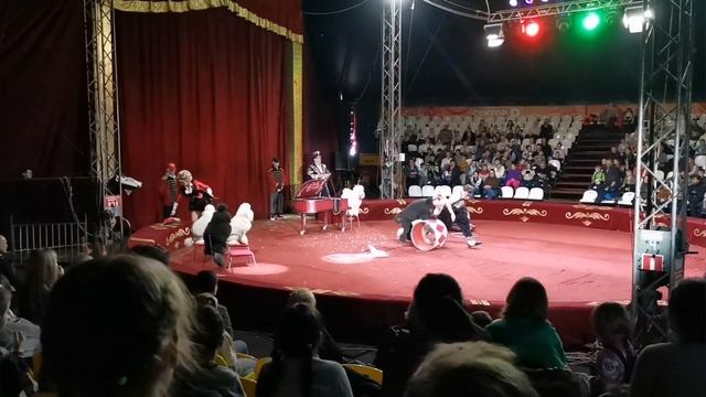 26 февраля 2023 г.цирк Максимус на дамодедова? смотреть онлайн