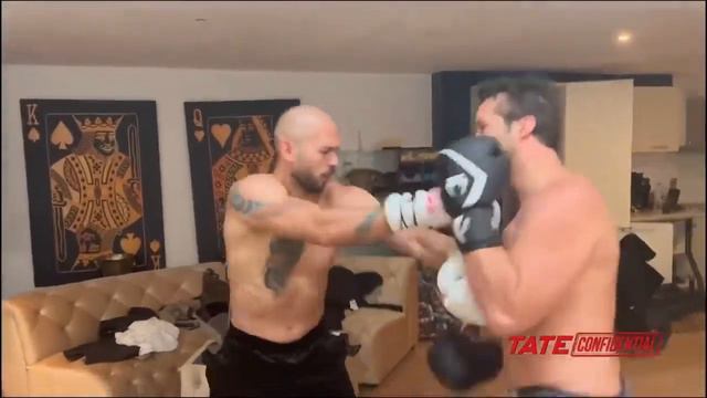 Andrew Tate Vs. Tristan Tate - Sparring