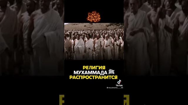 религия мухаммад с.в.с смотреть онлайн