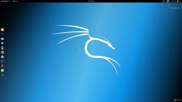 6. Базовый обзор Kali Linux