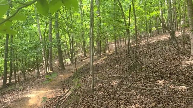 Первый раз выезд на Горных Велосипедах в Северной Джорджии. смотреть онлайн