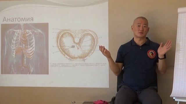 Теория ч.2: Анатомия. Последствия нарушения работы Диафрагмы смотреть онлайн