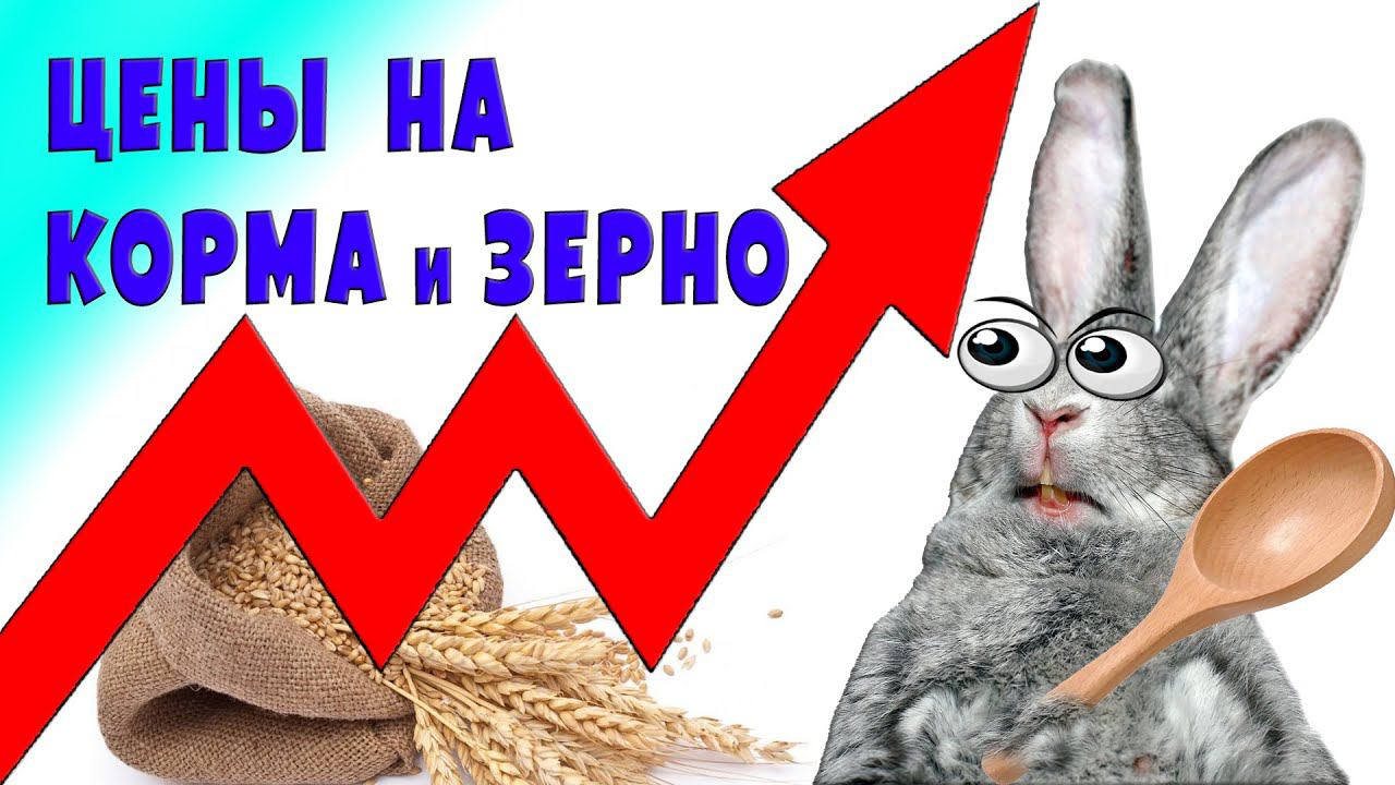 Цены на корм и зерно. Осень 2021 смотреть онлайн