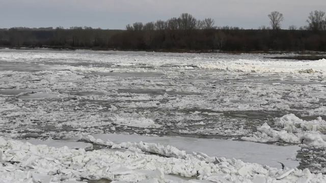 Ледоход на Бии смотреть онлайн