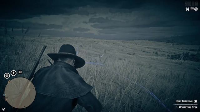 Lets play Red Dead Redemption 2 hunting bison смотреть онлайн