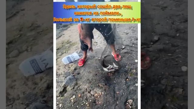 Рыбалка СПБ в Неве Большой Лещ на 50-см смотреть онлайн