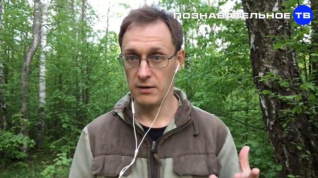 История Руси и древние летописи - ПОДДЕЛКА! (Познавательное ТВ, Артём Войтенков) смотреть онлайн