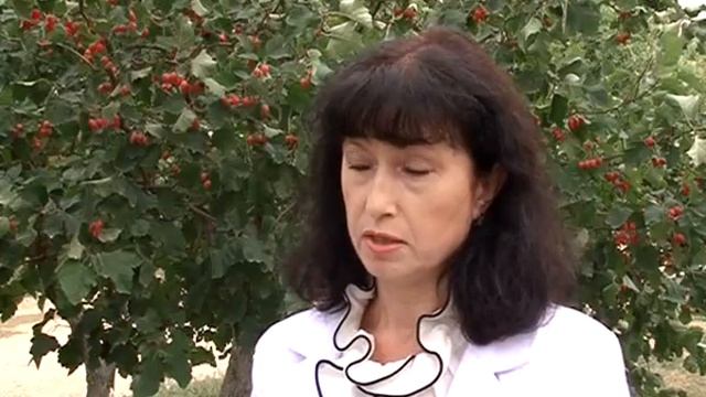 Информация о работе социальных работников смотреть онлайн