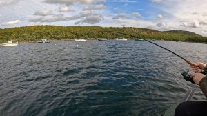 Рыбалка в Кольском заливе Баренцева моря / sea fishing