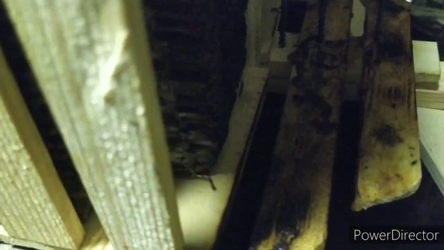 Колода-ловушка.Рои-21 Альпийские рамками смотреть онлайн