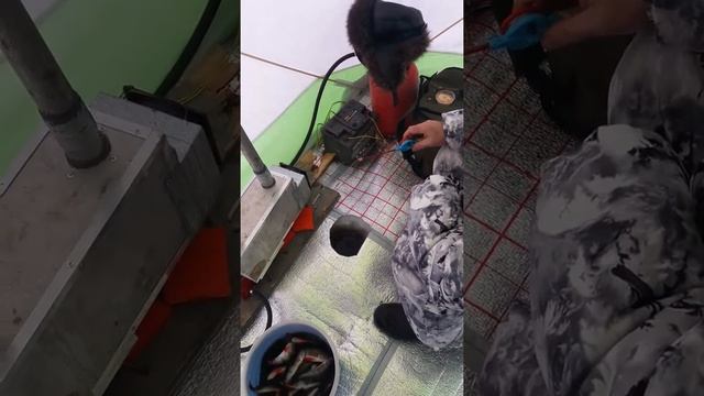 Палатка медведь куб 3 клев окуня испытания смотреть онлайн