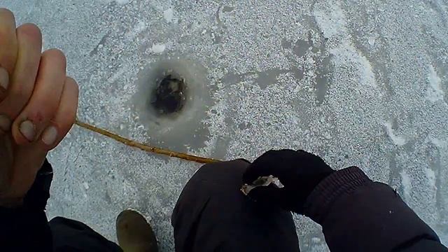 С Этой Насадкой вы НАЛОВИТЕ Окуня на Зимней Рыбалке! И БЛЕСНА НЕ НУЖНА! смотреть онлайн