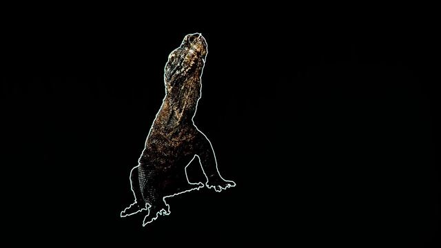 Dragon Type Pokemon: Masters of Mana? | Gnoggin - not dragons part 1 смотреть онлайн