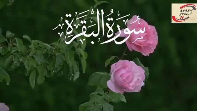 Surah Baqara Beautiful Recitation | Surah Bagara Fast Recitation |Baqara Recitation |#Arabicstudio9