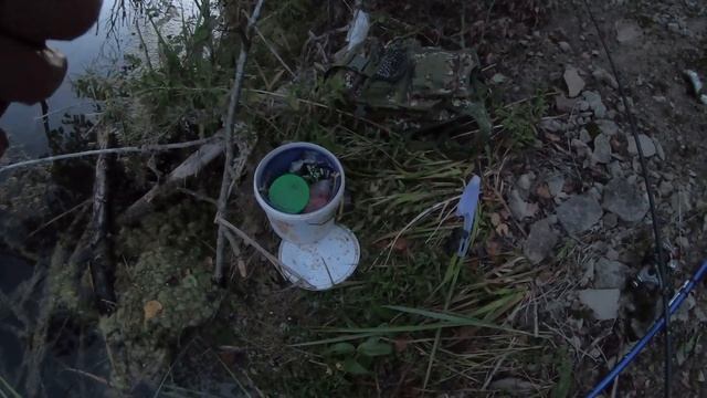 Когда лучше идти на рыбалку за карасем - ранним утром или вечером? Я проверил на практике смотреть онлайн