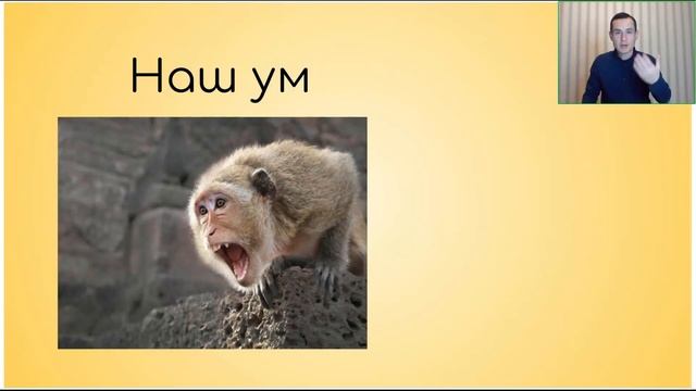 Михаил Буцковский. Медитация ключ к здоровью тела и духа [2022-01-19] смотреть онлайн