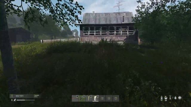 DAYZ смотреть онлайн