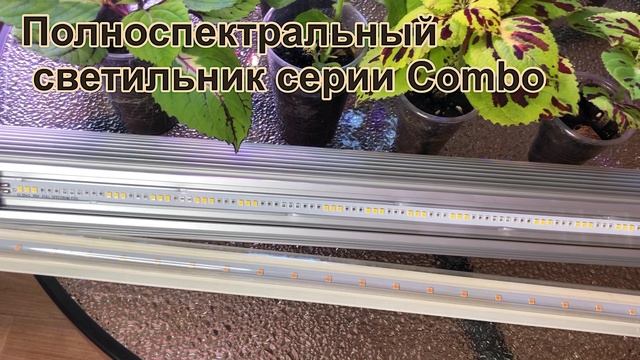 Какую лампу выбрать для подсветки растений смотреть онлайн