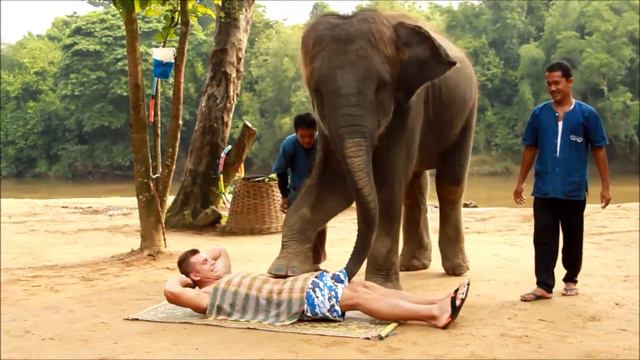 Шоу слонов Река Квай (Тайланд) - 9 смотреть онлайн