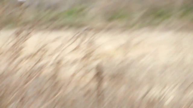 Кастет 161 - Грязное Демо смотреть онлайн