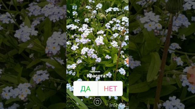 Прячем теги смотреть онлайн