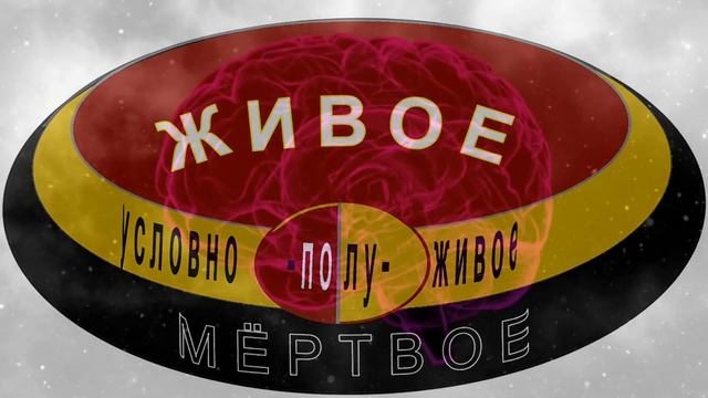 МОЗГ-лишь Инструмент, ПОЛУ-Проводник ЖИЗНИ...! На Сколько РЕАЛЬНО - Мы Истинно-ЖИВЫе...?! смотреть онлайн