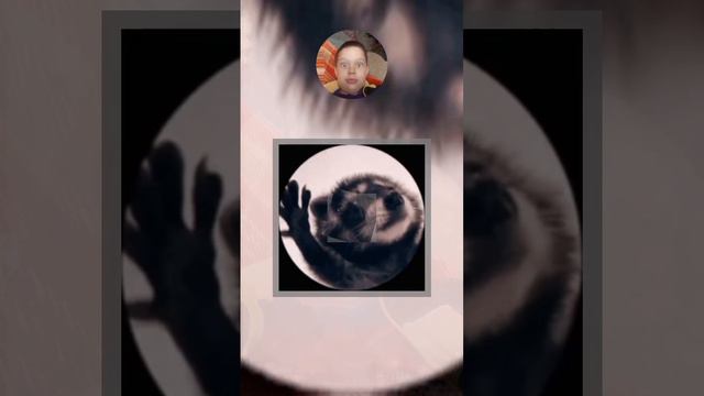 куча шортсов смотреть онлайн