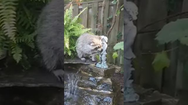 Что здесь смотреть онлайн