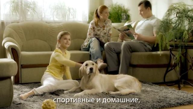 Семьи бывают разные смотреть онлайн