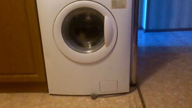 котёнок в стиральной машине смотреть онлайн